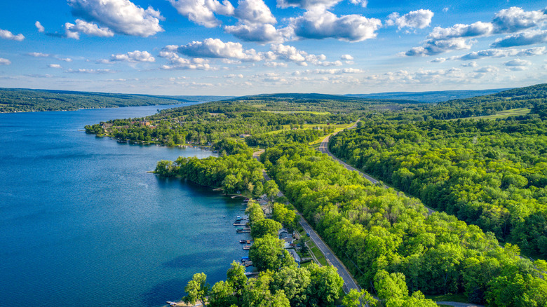 Aerial view of Keuka Lake in Upstate New York's Finger Lakes region during the day.