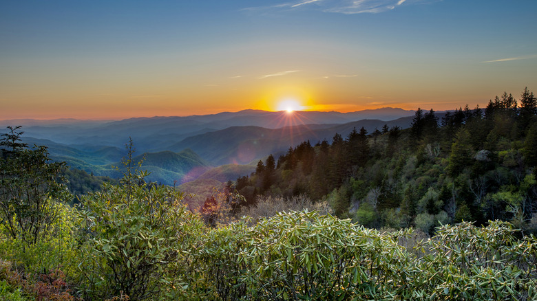 Trees and mountains at sunset, Cherokee, North Carolina