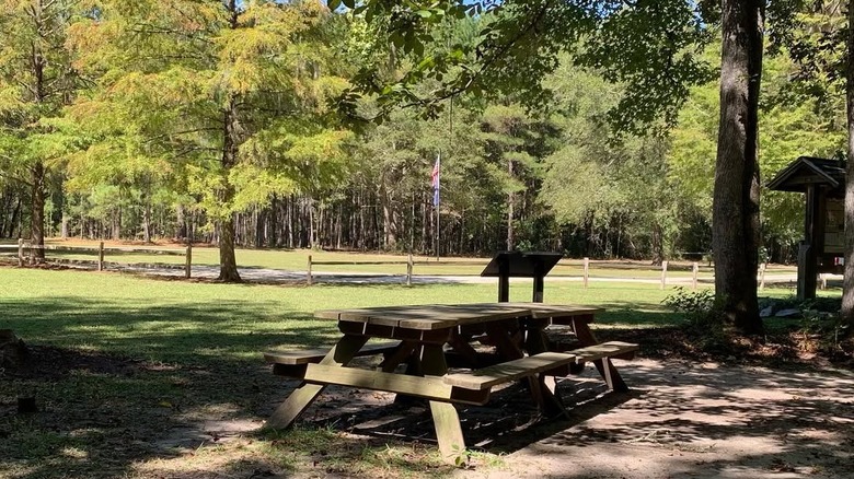 Tall trees shading a picnic table in Wood Bays State Park