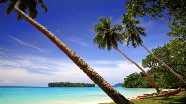 Long palm trees and turquoise water at Por Olry Beach