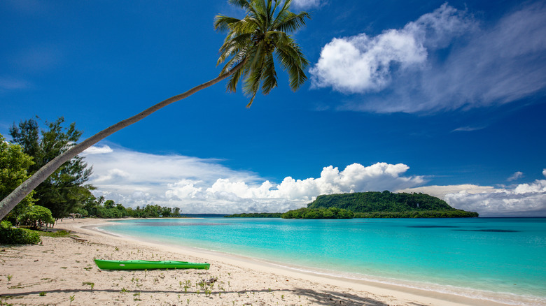 A long palm tree overhangs the beach at Port Olry