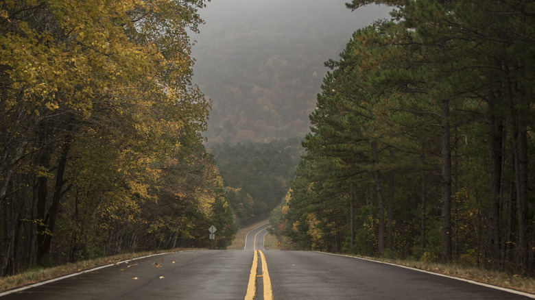 A highway crossing through a forested area