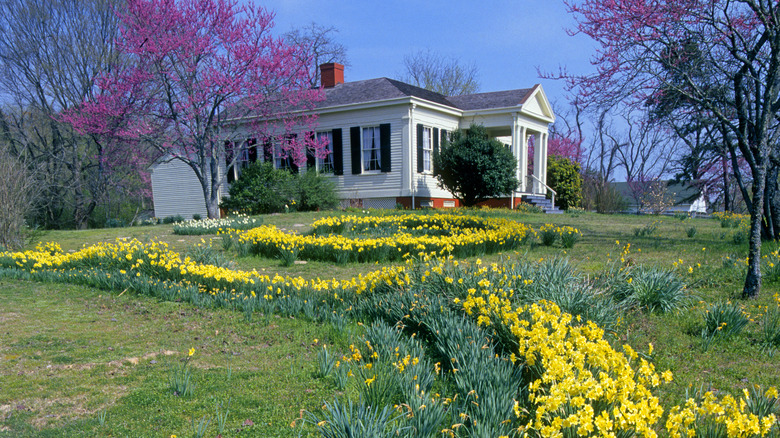 The Historic Washington State Park in Arkansas