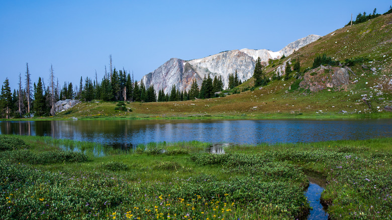 A calm, beautiful lake surrounded by meadows and trees