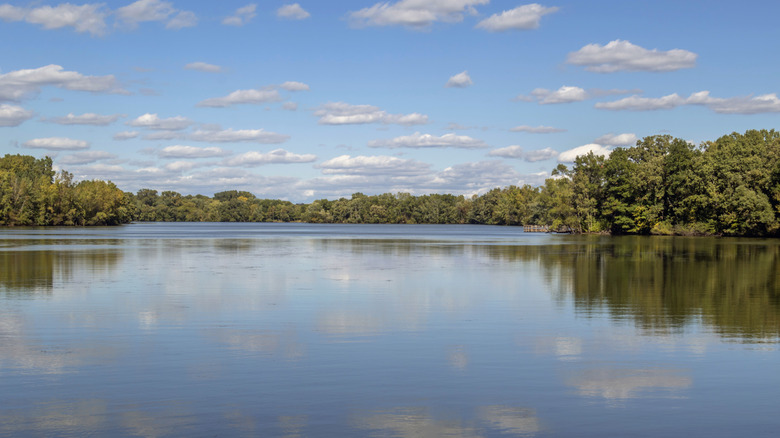 Woodbury, MN Lake surrounded by trees