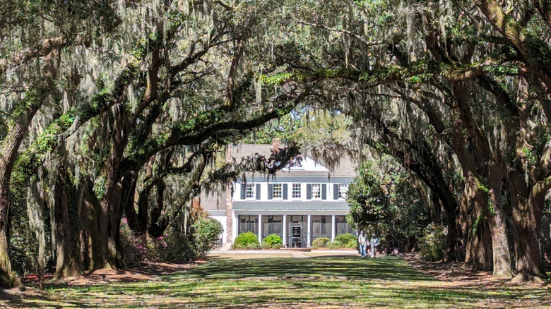 The Legare Waring House framed by Spanish-drapped live oaks.