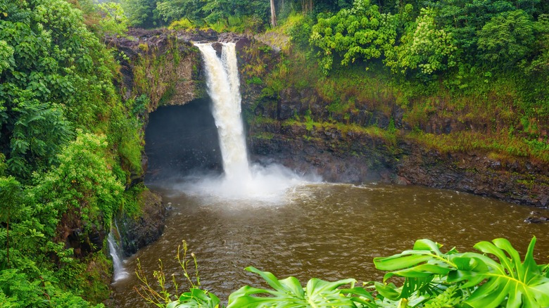 Rainbow Falls Wailuku River State Park