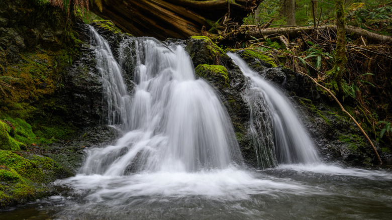 cascade falls at moran state park on orcas island