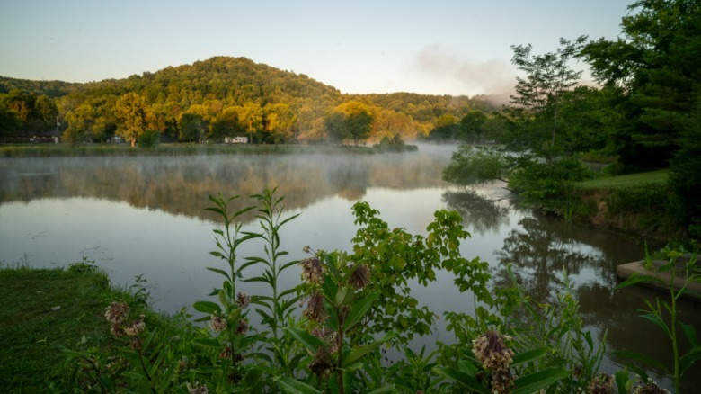 Gorgeous misty lake in the morning