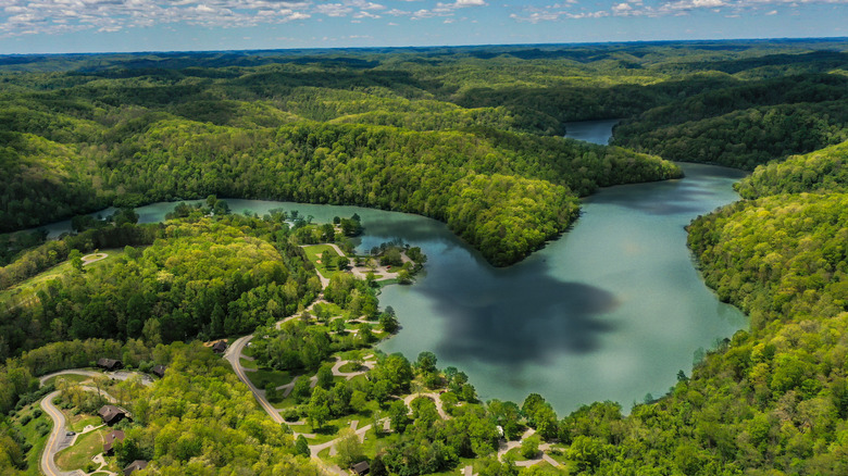 aerial view of lake surrounded by green trees