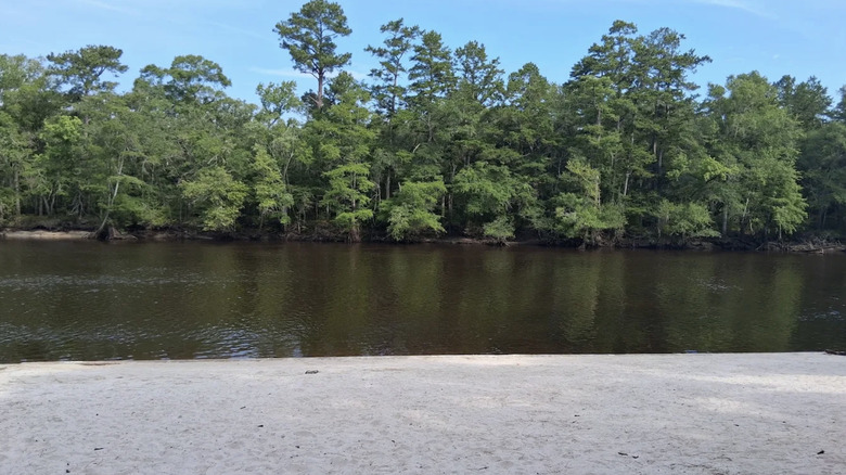 Sandy beach area at Givhans Ferry State Park, South Carolina
