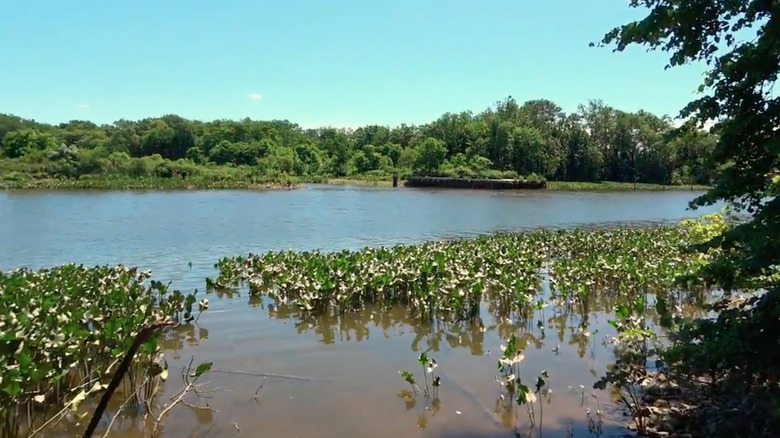 A body of water in Neshaminy State Park, Bucks County, Pennsylvania