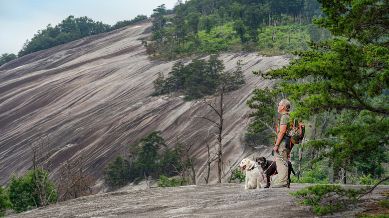 A man with two dogs hiking in Stone Mountain State Park, North Carolina