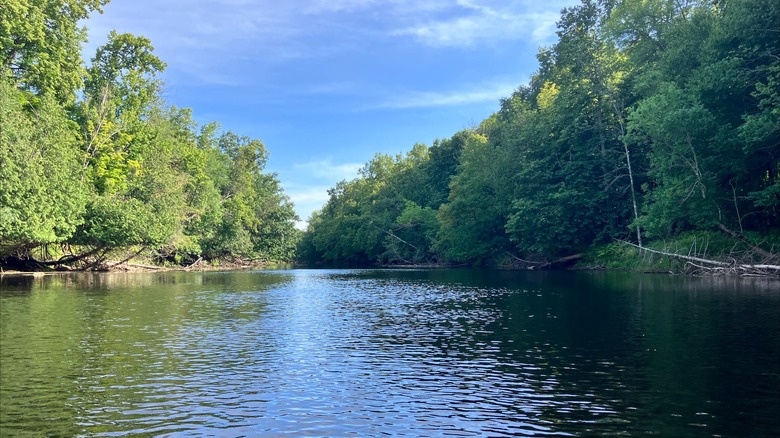 The Menominee River bordered by green trees under a blue sky at the Menominee River State Recreation Area, Wisconsin-Michigan border