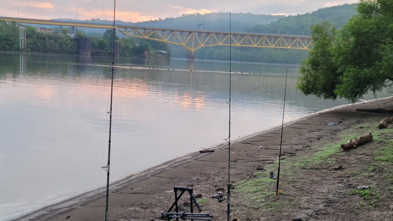 Muddy river bank with erect fishing poles and yellow bridge downriver.