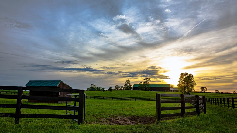 Kentucky farm at sunset