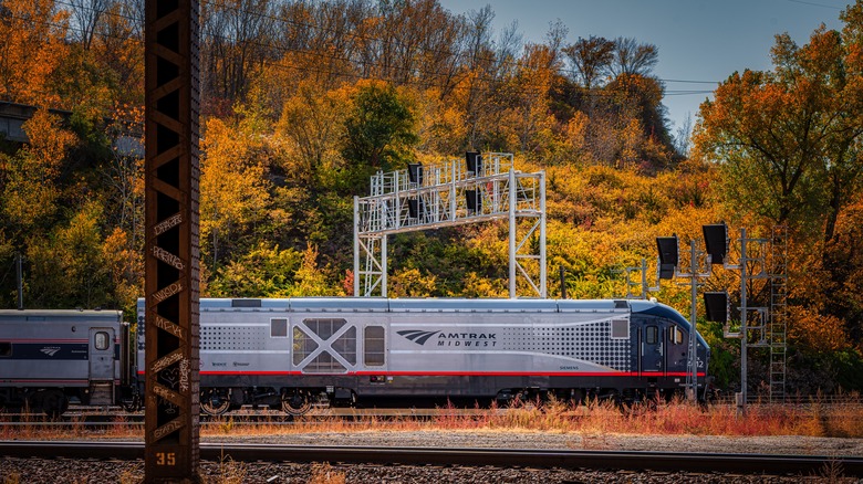 Amtrak train with fall foliage in background