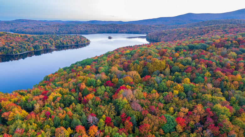Vermont's fall foliage along river