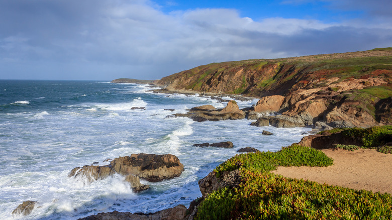 Rocky coast of Bodega Bay, Sonoma County, California