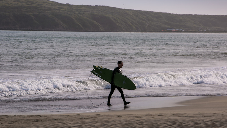 Surfer by the beach in Bodega Bay, Sonoma County, California