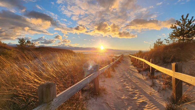 Fenced sandy path leading to Sauble Beach at sunset