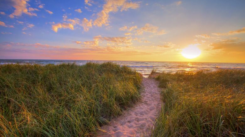 A path to the beach at P.J. Hoffmaster State Park