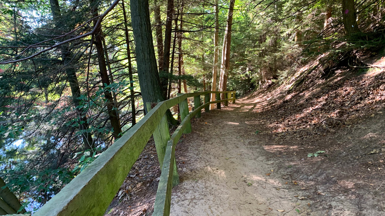 Hiking path in P.J. Hoffmaster State Park