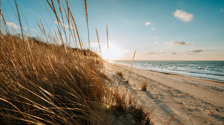 Sunset over Indiana Dunes.