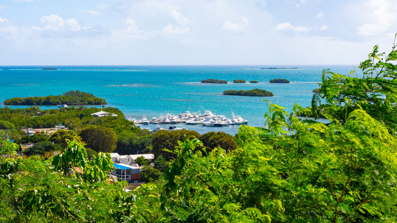 boats dotting the coast of La Parguera in Puerto Rico