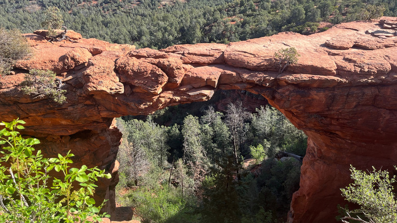 A view of the Devil's Bridge sandstone arch in Sedona, Arizona