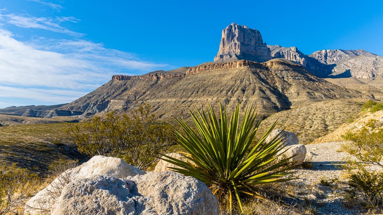 Mountain and butte in desert