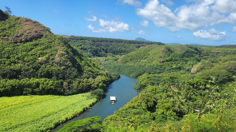 Arial shot, tropical river and grenery