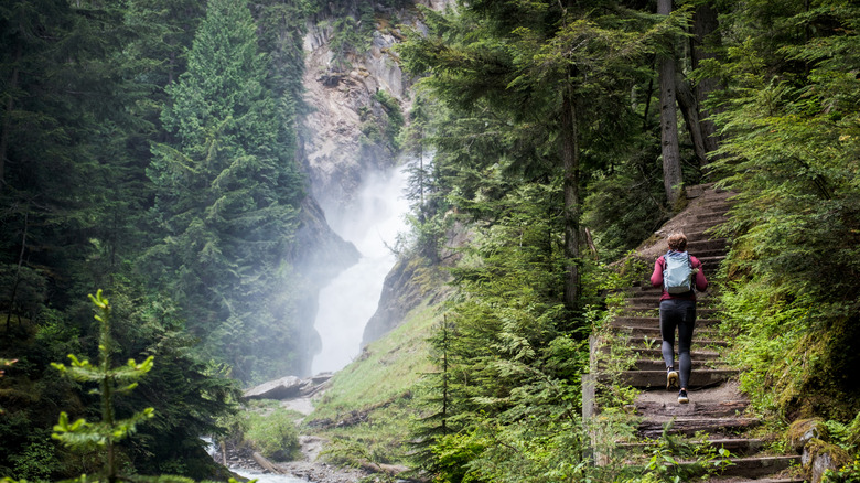 A person hiking up stairs beside Bear Creek Falls among trees at Glacier National Park