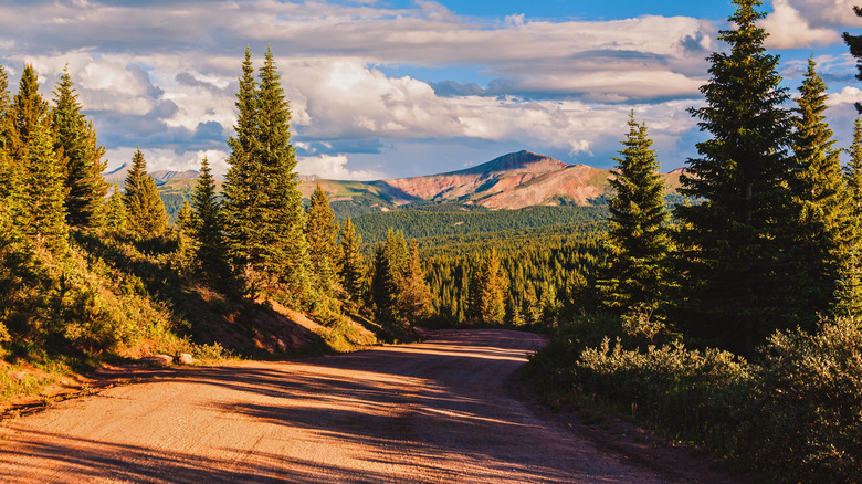 Trail overlooking mountains and forests in Golden, Colorado