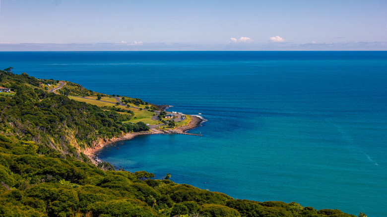 Panoramic view over high coast of Tasman Sea on an overcast summer day. High vantage point. Raglan, New Zealand