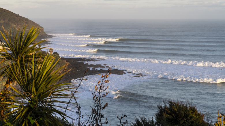 Raglan's coastline with waves coming in on a left hand rocky point break