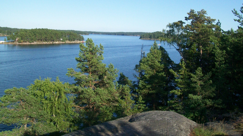 Water and islands with trees in foreground