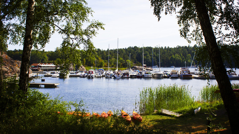 Boats in a harbor surrounded by trees on Gilda Island in Sweden