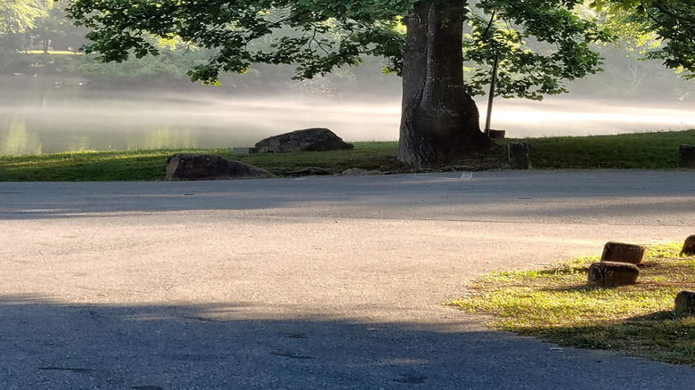 Foggy Hiwassee River through trees