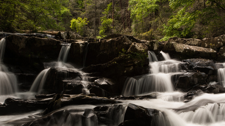 The waterfalls on coker creek trail
