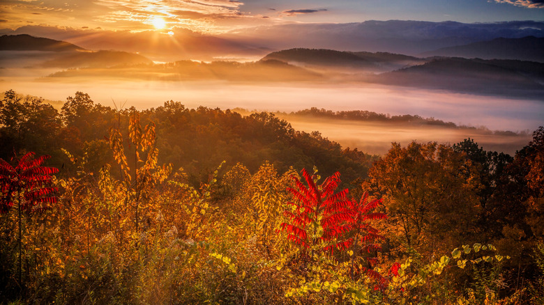 Sunrise in fall on a trail in Tennessee's Great Smoky Mountains