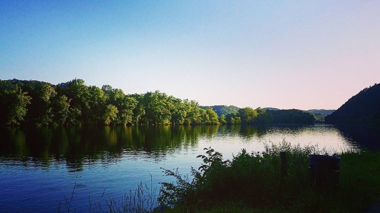 Chilhowee Lake surrounded by forest