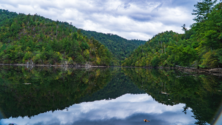 Smoky Mountains view from Chilhowee Lake