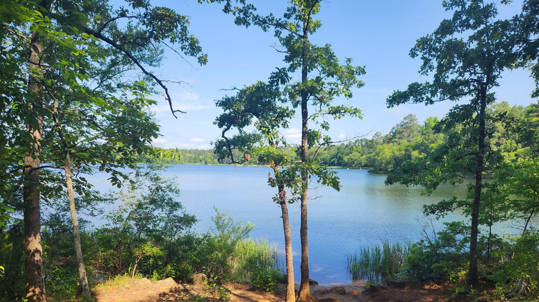Tyler State Park