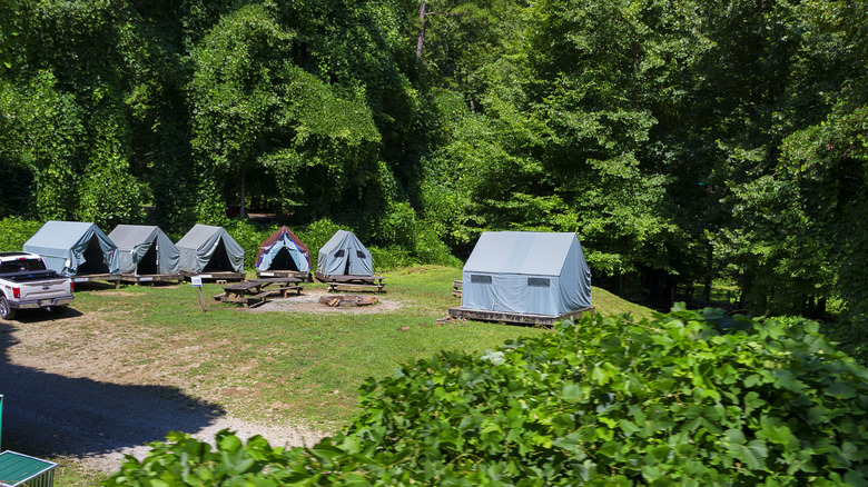 Camp site near Bryson City, North Carolina