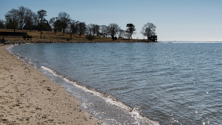 shoreline with sparkling blue water in Fairfield