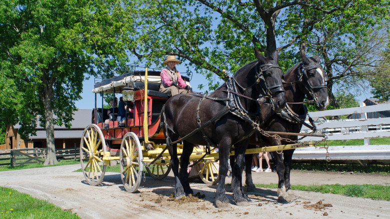 Visitors enjoy a stagecoach ride around the Mahaffie Stagecoach Stop and Farm Historic Site