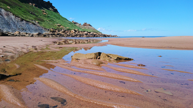 Low tide at a sandy beach in Canada