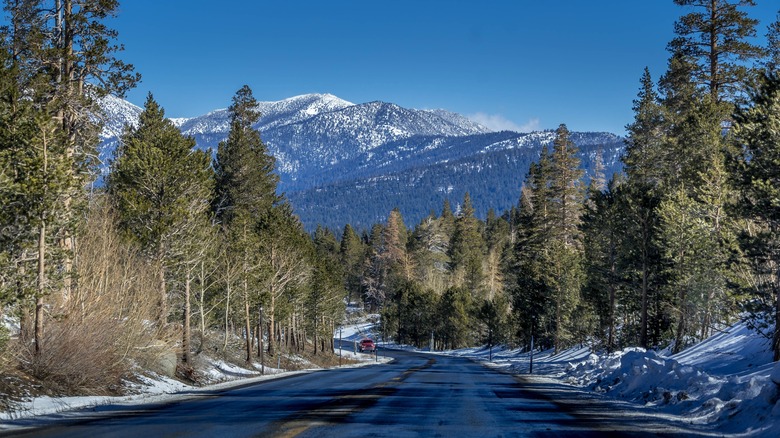 A truck driving down Carson Pass Highway in the winter