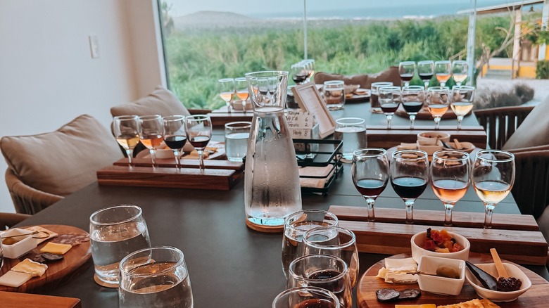 Wine Tasting at Alto Vista Winery in Aruba